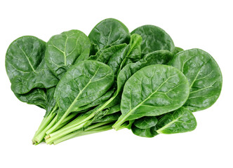 Obraz premium Fresh green spinach leaves on isolated background
