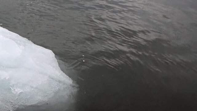 A pristine ice chunk drifts majestically through the frigid, dark waters of the Arctic Ocean. Witness the silent movement during an extreme polar exploration journey.
