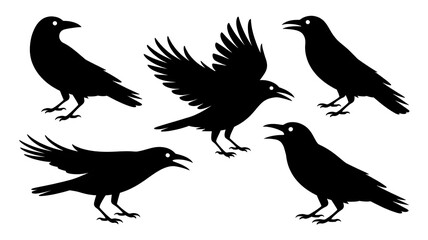 Fototapeta premium silhouettes of birds