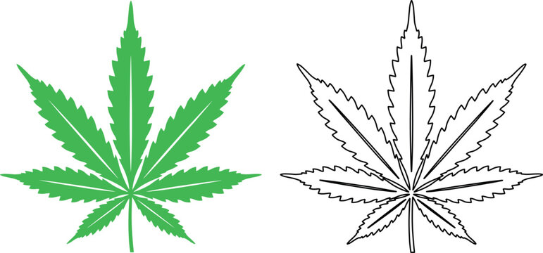Professional green cannabis leaf and black outline vector illustrations isolated on a white background for herbal use.