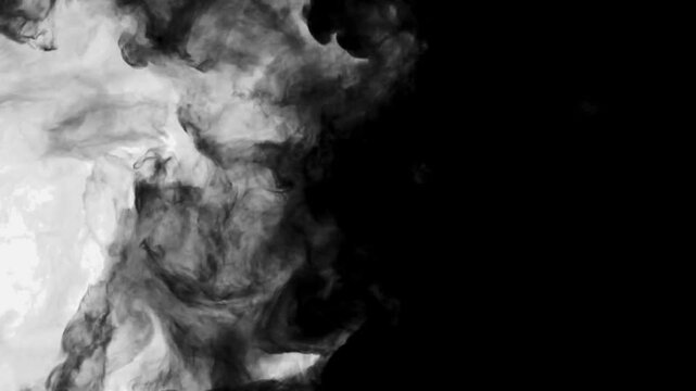 Ink transition splatter in water black watercolor ink background, ink effect, transparent, Thick Smoke, Vapor, Fog, isolated, circle flow expand, ink splatter, brush stroke, fluid art, overlay. steam