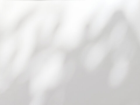 Abstract shadow of leaves on a white wall, overlay effect for photo, mockup, product, wall art, design on a transparent background