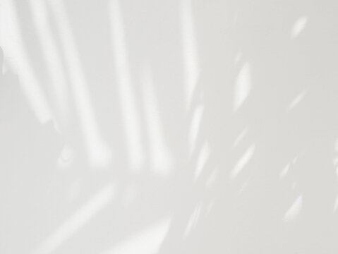 Abstract shadow of leaves isolated on transparent background, overlay effect for texture backgrounds design illustration