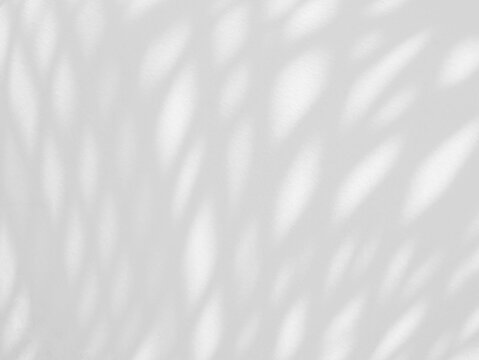 Abstract shadow of leaves isolated on transparent background, overlay effect for texture backgrounds design illustration