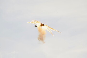Airshow © Adam Stopa