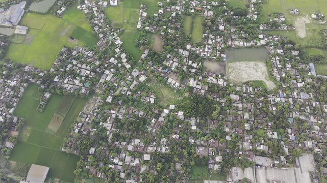 Dense village neighborhood surrounded by lush green rice fields, overhead drone view in Bangladesh