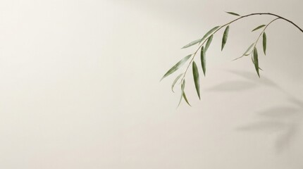 Obraz premium Minimalist green branch with leaves on neutral background with shadow