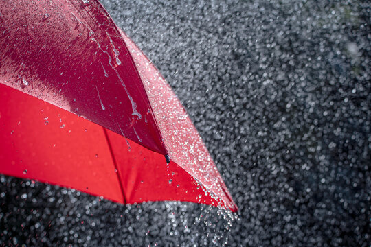 Rain on red umbrella background, weather forecast and environment concept