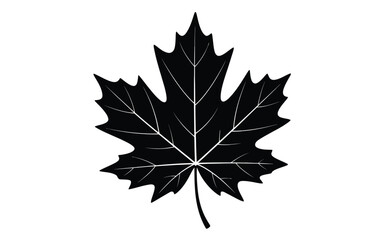 Fototapeta premium Black maple leaf silhouette vector illustration isolated on white background, perfect for autumn season graphics, logos, and nature design.