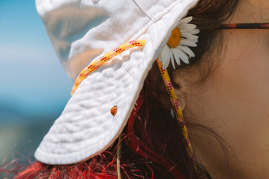 Ladybug walking on a white bucket hat worn by a young woman with a daisy behind her ear, enjoying summer outdoors
