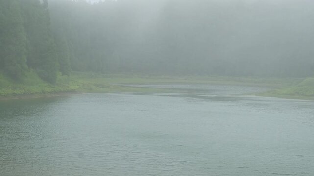 Thick fog swallows Lagoa das Eguas, leaving only lake water and faint cedar silhouettes, Sao Miguel, Azores