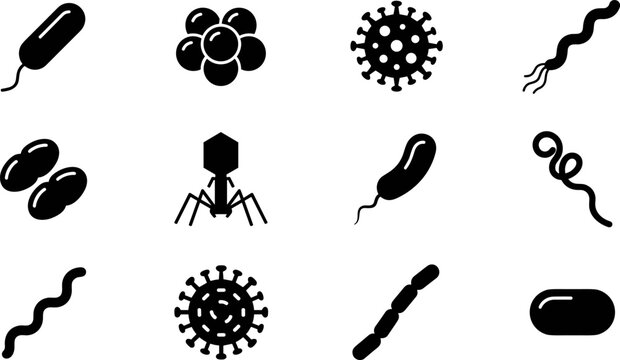 Set of various bacteria and virus icons, including bacilli, cocci, spirilla, and bacteriophage, vector illustration