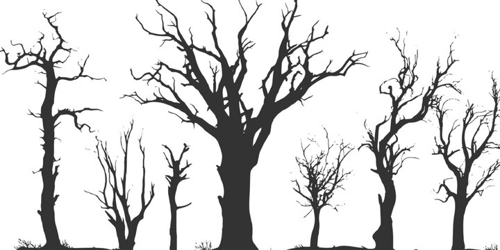 Spooky dark silhouette of a bare forest featuring dead winter trees on white background vector illustration.
