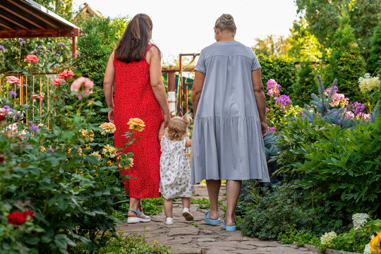 Grandmother, mother and young granddaughter walk away from the camera while holding hands on a stone path surrounded by blooming garden plants.