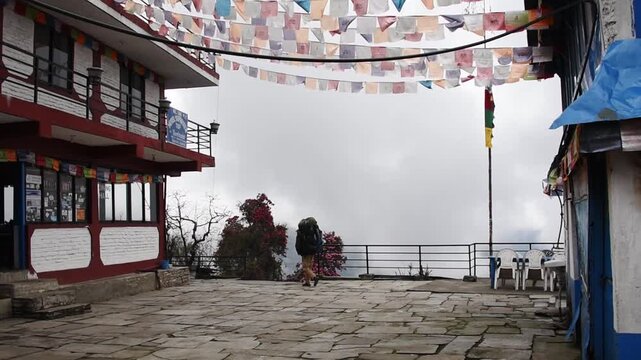 Porter arriving at a trekking lodge at Tadapani on the Poon Hill to Chhomrong trail, Annapurna region, Nepal