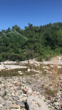 Title: A shallow rocky riverbed with low water flow winds through a green mountain valley under a clear blue sky. This video depicts summer drought dried riverbed ecology and mountain landscape scener