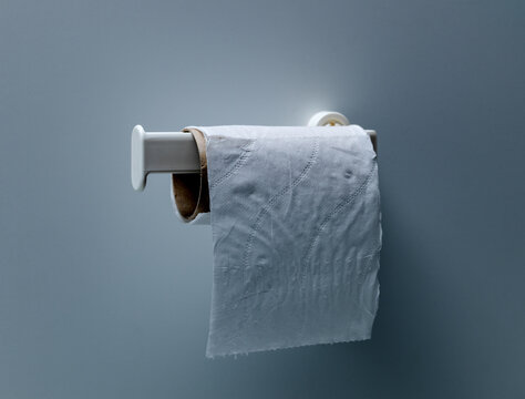 Last Sheet of Toilet Paper Left on Roll Holder