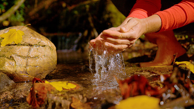 CLOSE UP, LOW ANGLE VIEW: Female hands scooping fresh water from a shallow forest creek on sunny autumn day. Refreshment in pristine brook among yellow leaves and wet stones on nature walk in fall