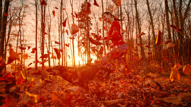 LENS FLARE, LOW ANGLE: Smiling young woman runs with her energetic dog along forest trail covered in dry autumn leaves. Flying foliage, golden sunset light, outdoor activity and charm of fall season.
