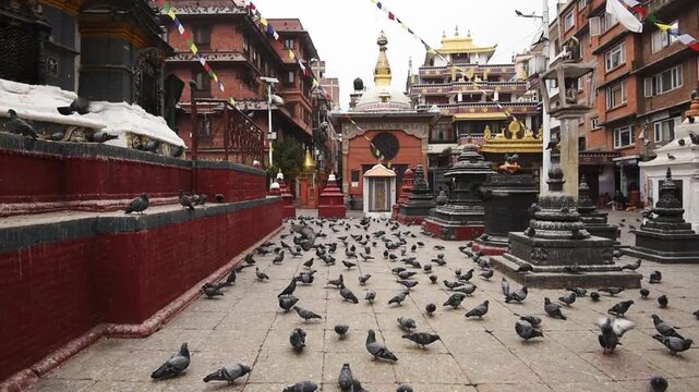 Shree Gha Vihar stupa in Kathmandu, white dome with gilded spire and prayer flags