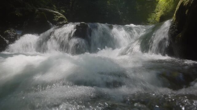 Powerful whitewater chute rushing through forest rocks