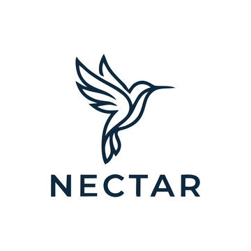 Nectar hummingbird outline logo with modern typography