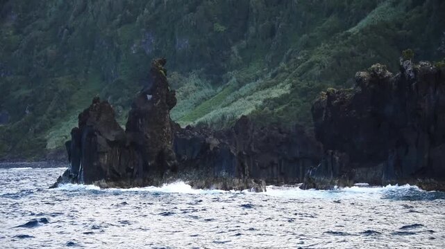 Jagged lava stacks take the surf below a steep green cliff on the Sao Jorge coast, Azores, Portugal
