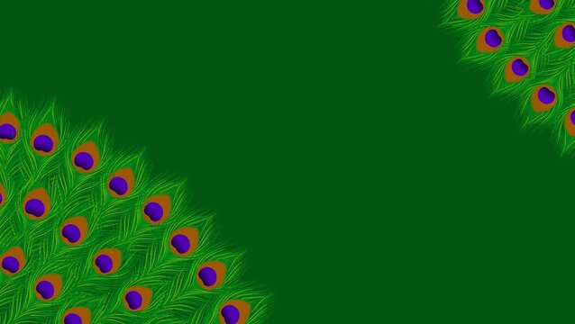 Peacock Feather Corner Border on Dark Green Background, Elegant Diwali and Indian Festival Vector
