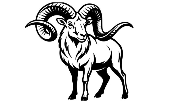 Marco Polo Argali Sheep Large Horns Black White Wildlife Vector Art