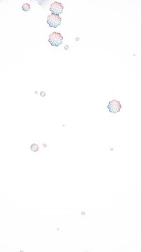 Animation of snowflakes falling on white background