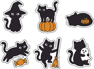 Obraz premium Black halloween cats with pumpkins and witch accessories