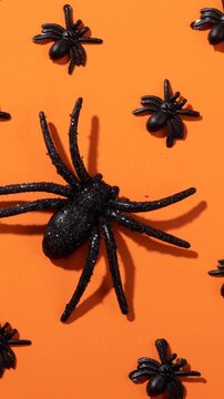Animation of spiders on orange background