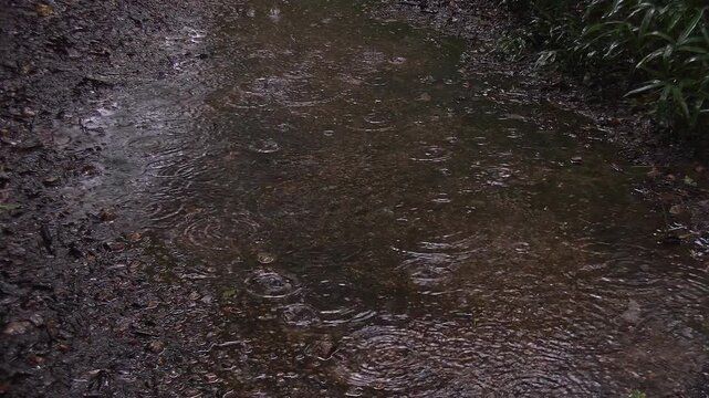 Raindrops Falling into Puddle on Dirt Road Creating Ripples