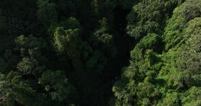 Aerial footage of beautiful tropical forest mountain landscape in the Yalu Zangbu River valley area, Tibet,China