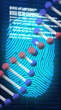 Illustrating digital security, DNA strand and fingerprint over binary code animation