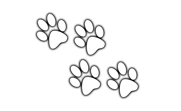 Four white paw prints isolated on transparent background