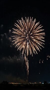 Brilliant colorful fireworks exploding against the dark night sky