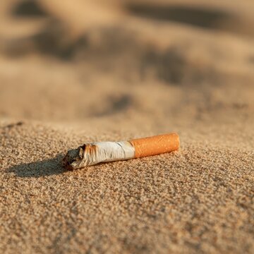 Discarded cigarette butt lying on sandy beach causing environmental pollution and littering problem