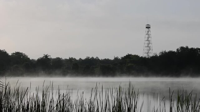 Fog drifting over a lake at Fakahatchee Strand Preserve State Park, Florida