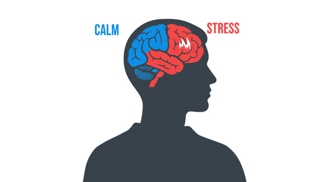 Mental Health Concept Illustration of Human Brain Divided Between Calm and Stress States, Emotional Regulation and Balance Silhouette