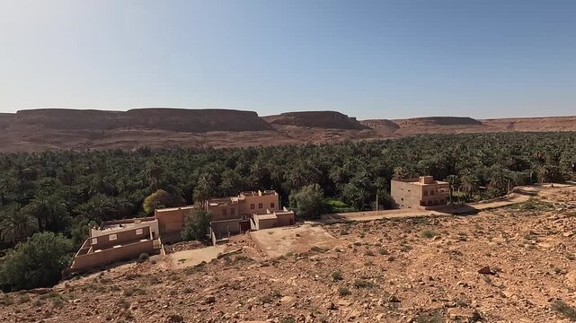 Elevated view over the date palm grove and plateau, Ziz Canyon, Errachidia, Draa-Tafilalet, Morocco