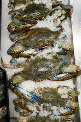 Fresh blue crabs on ice at a seafood market during the daytime in a coastal town © mira_y