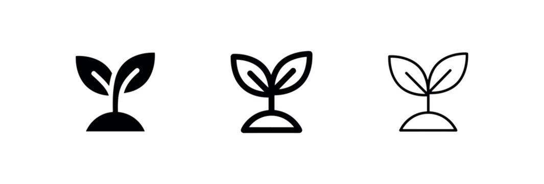 Young plant sprout or seedling icon in solid, outlined, and thin line styles, symbolizing growth, nature, and new beginnings.