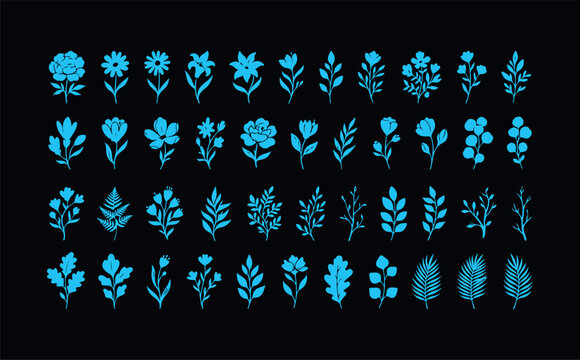 Assortment of botanical elements and floral motifs including flowers and leaves for nature themed designs.