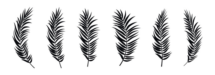 Obraz premium Collection of black palm frond silhouettes on a white background