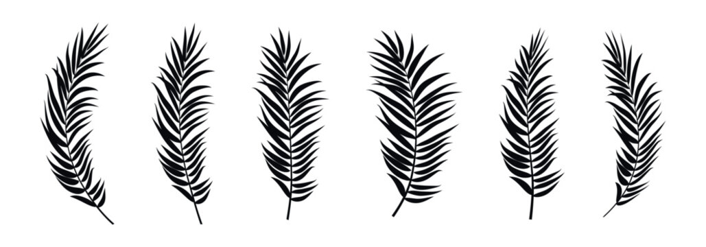 Collection of black palm frond silhouettes on a white background