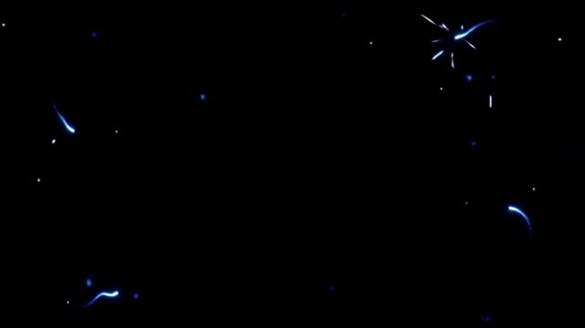 Blue Fireworks Edge Sparks with Glowing Particle Burst