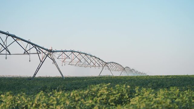 Farming system irrigates crops through automated sprinkler. Agriculture field watered using large sprinkler machine. Farming irrigation technology supports healthy crop growth. Field sprinkler farming