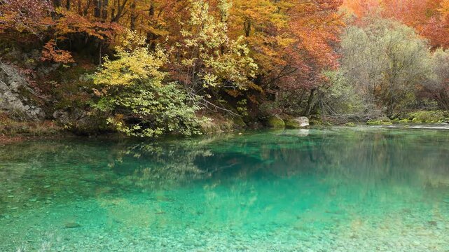 Oko Skakavice, the Blue Eye of Montenegro surrounded by colorful foliage in red, yellow and orange in autumn