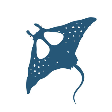 Manta ray marine creature illustration isolated on a white background